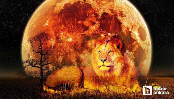 12 Şubat 2025 Aslan Dolunayı Burç Yorumları! Kim nasıl etkilenecek?