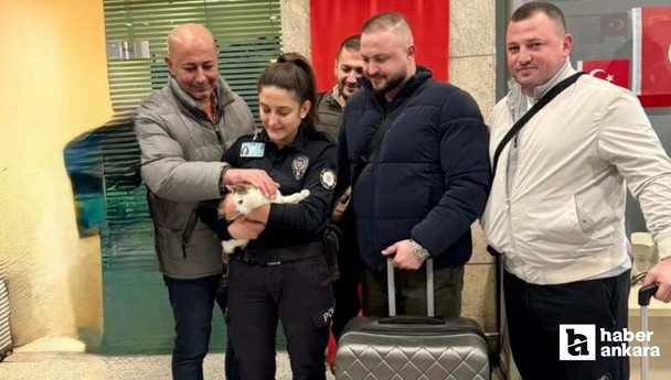 Esenboğa Havalimanı’nda araçta kilitli bırakılan kedi kurtarıldı