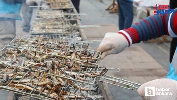 Ankaralıları hamsiye doyuracak festival geliyor! 1 ton hamsi bedava dağıtılacak