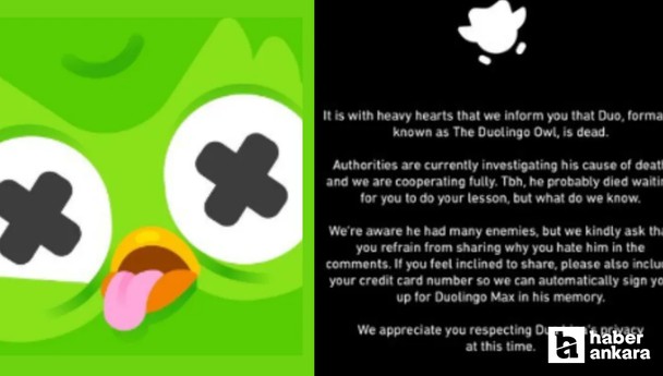 Duolingo'nun baykuşu Duo öldü mü? Uygulamanın maskotu neden öldü?