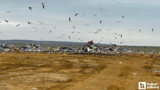 Bakanlıktan ASKİ’ye 5 milyon 130 bin TL para cezası