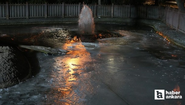 Ankara soğuk havaya teslim oldu: Kuğulu Park dondu