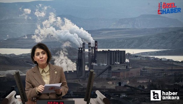 Çayırhan Termik Santrali özelleştirilmesi TBMM'de! Aylin Yaman soru önergesi verdi