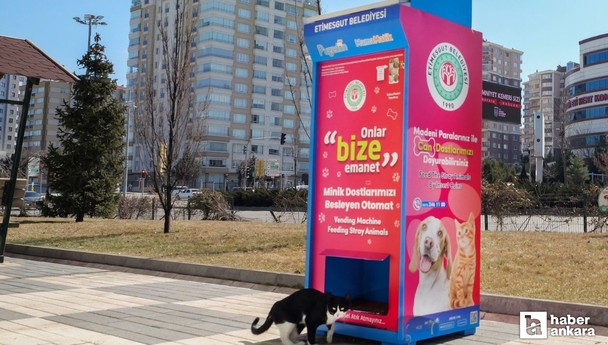 Etimesgut Belediyesi hayvanlar için sokaklara Mamamatik koyuyor