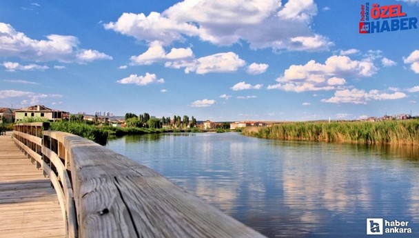 Ankara'nın en mutlu ilçesine şaşırtan cevap: Akıllara gelenden çok farklı