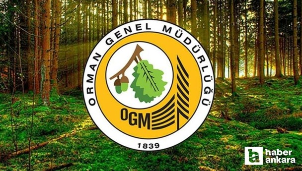 OGM 3 bin 477 sözleşmeli destek personeli alıyor! OGM  personel alımı kadroları ve başvuru tarihleri