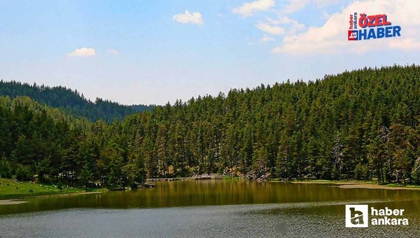 Başkent’te doğa ile baş başa vakit geçirebileceğiniz cennetten bir köşe: Kelebekler Vadisi Tabiat Parkı