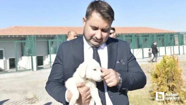 Kahramankazan Belediyesi sokak hayvanlarını unutmadı!