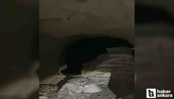 MSB duyurdu: Teröristlere ait bir mağara tespit edildi