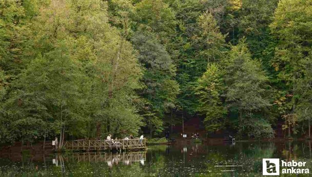 Milli parklar 9 günlük tatilde  1 milyon 921 bin 91 kişiyi ağırladı