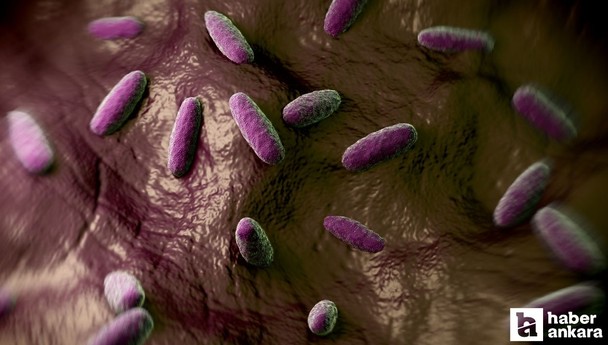 L. monocytogenes bakterisi nedir, nereden bulaşır, ölümcül mü?