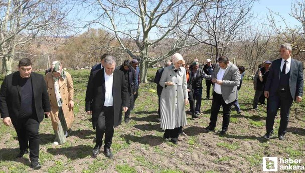 Milletvekili Yıldız, Ankara'da zirai don incelemesi yaptı