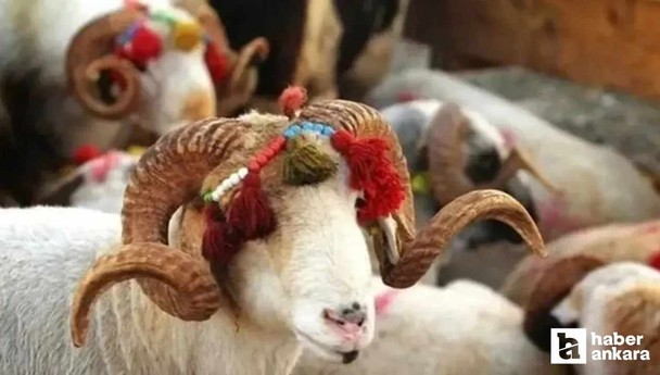 Arefe günü tam gün mü tatil olacak? Kurban Bayramı tatili için son dakika açıklandı