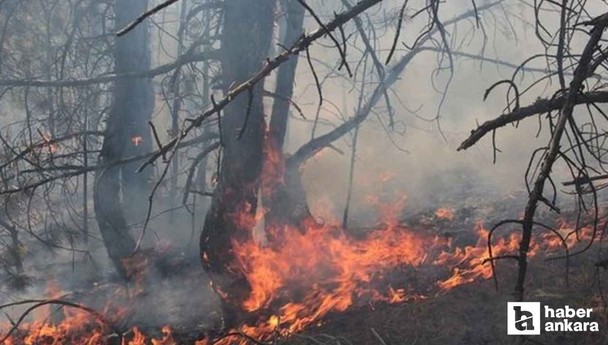 Beypazarı'nda orman yangını: Ekiplerin müdahalesi sürüyor