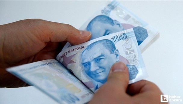 Beklenen indirim gelince tane tane alam dönemi sona erdi: Koli koli alınıyor