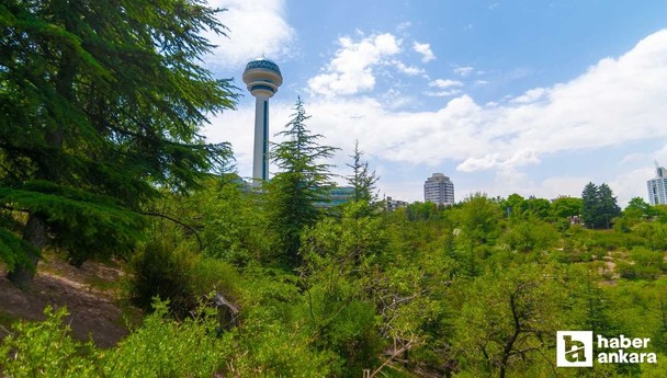 Ankara'nın kalbinde bir hafıza yarığı! Şehrin merkezinde Cumhuriyetin simgesi doğal SİT alanı