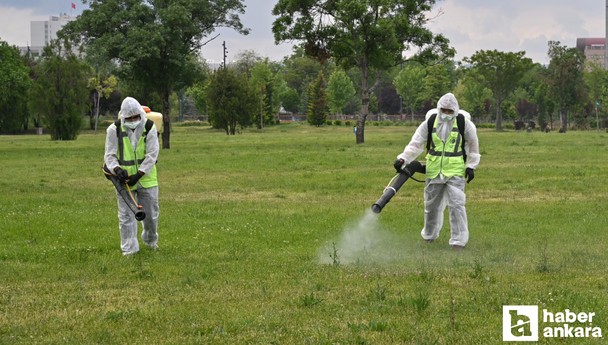 Altındağ Belediyesi yeşil alanlarda ilaçlama yapmaya devam ediyor