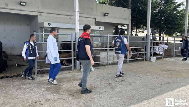 Altındağ Belediyesi Kurban Bayramı öncesi ilçe genelinde hazırlıkları tamamladı