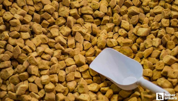 Ankaralılar bayıla bayıla yiyor: 1 sene bozulmadan duruyor