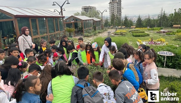 Pursaklar Belediyesi Endemik Vadi öğrenciler için eğitim mekanı oldu
