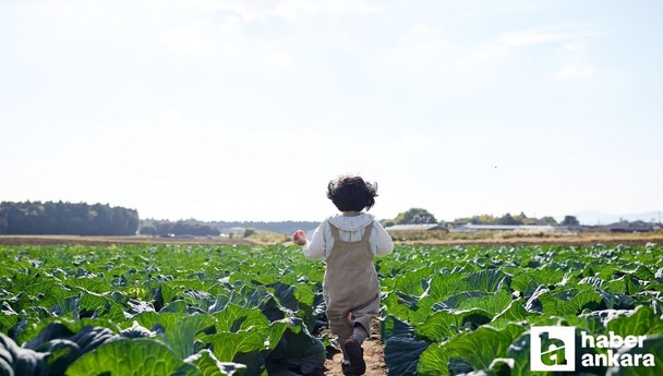 ABB, Ata Çiftliğinde Doğa Dostu Çocuklar Yaz Programı düzenleyecek