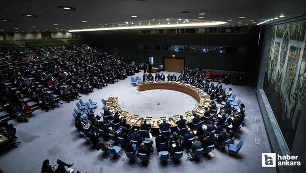 Birleşmiş Milletler Güvenlik Konseyi için Japonya'dan reform çağrısı