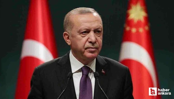 Cumhurbaşkanı Erdoğan'ın imzaladığı yeni atama kararları Resmi Gazete'de