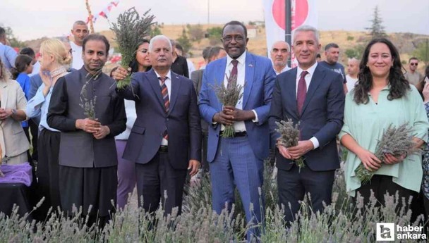 Keçiören Belediyesi'nin düzenlediği lavanta festivaline katılım yoğun oldu