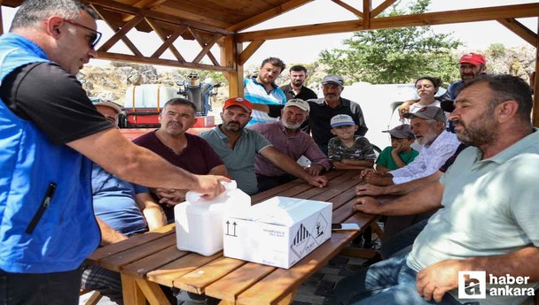 Etimesgut Belediyesi haşere ve vektörle mücadeleyi sürdürüyor!