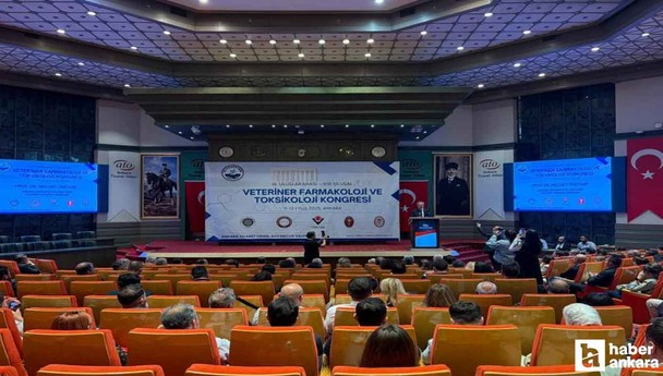 TVHB Merkez Konseyi'nden 'Tek Sağlık Yasası' çağrısı