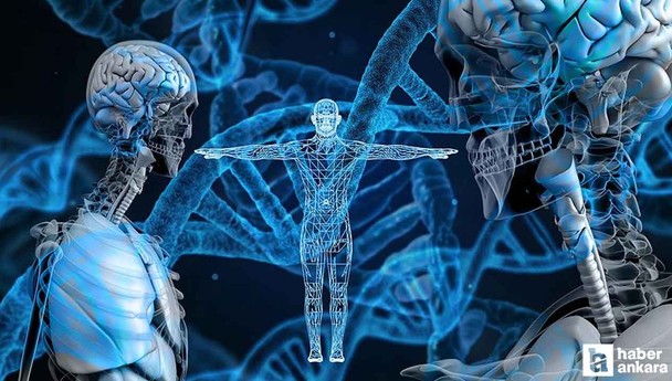 Dikkat eksikliği ve hiperaktivite: 20 dakikalık Dikkat Testi ile tanı konuluyor!