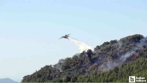 Ciğerlerimiz yanıyor! 3 ilde orman yangınlarına müdahale sürüyor