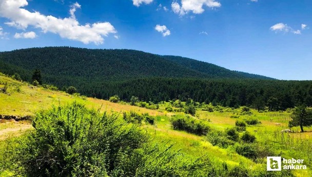 Ankara'da Karadeniz'i yaşatan tabiat parkı