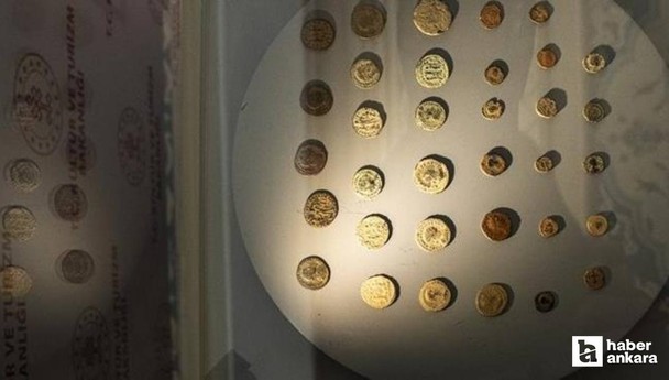 Roma dönemine ait 83 sikke, ABD'den Ankara Cumhuriyet Müzesi'ne getirildi