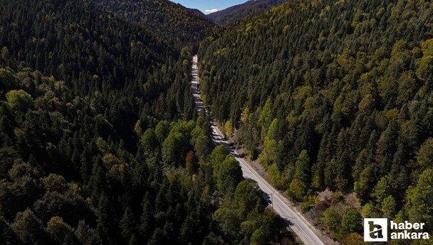 Ankaralıların hemen burnunun dibindeki doğal cennet: Şimdi renk cümbüşü!