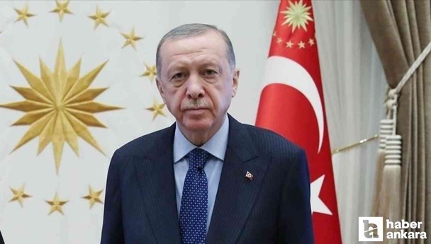 Cumhurbaşkanı Erdoğan, Ali Mahir Başarır'a manevi tazminat davası açtı