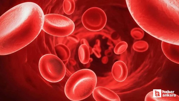 Vücutta demir eksikliğini hızlıca ortadan kaldırmak 3 besinden geçiyor