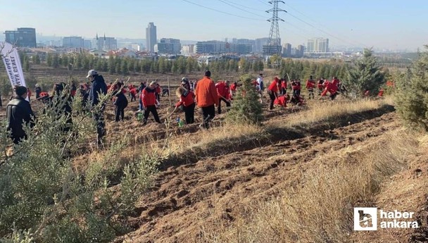 Ankara'da Akut Şehitleri anısına 3 hatıra ormanı