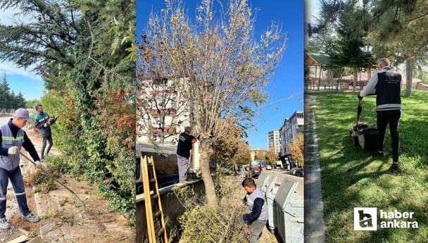 Kahramankazan Belediyesi, park ve yeşil alanlarda sonbahar bakımı gerçekleştirdi