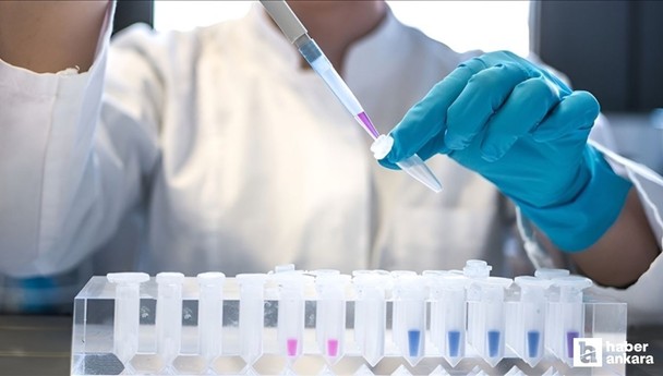 DSÖ açıkladı: 2024 yılında 1,3 milyon kişi AIDS'e yakalandı