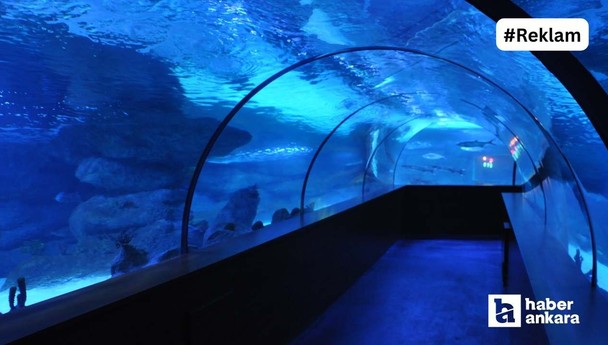 Ankara'nın okyanusa açılan tüneli! İçinde gezilen dev akyaryum: Aqua Vega