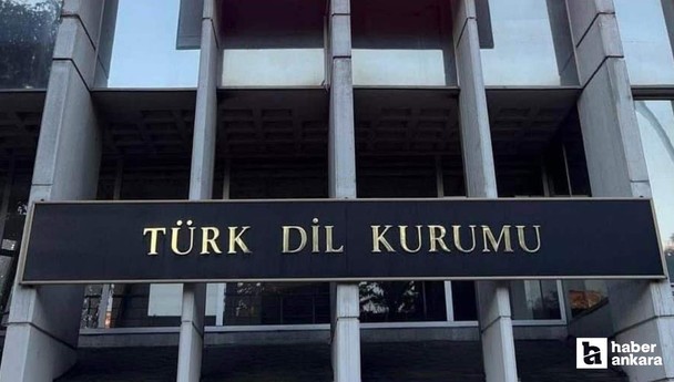 2025 yılının kelimesini seçmek için halk oylaması başlatıldı