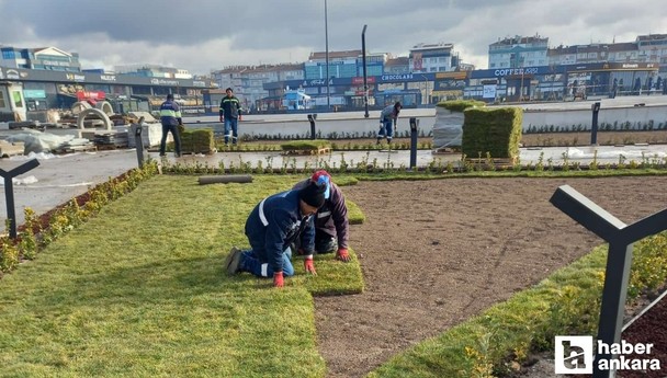 Sincan'da ekipler kuru peyzaj çalışmalarına devam ediyor!