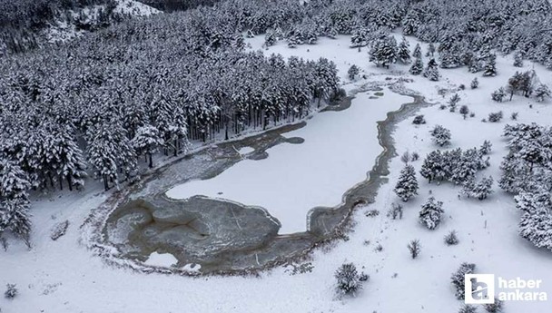 Gerçek Ankaralılar Uludağ'ı değil burayı seçer: Başkentin Aspen'i