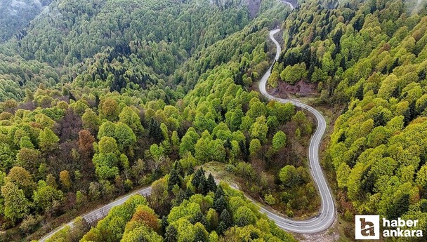 Bakan Yumaklı, orman yangınlarına karşın vatandaşları uyardı