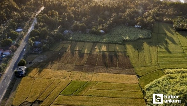 Milli Emlak Ankara'da 20.000 bin TL'ye hazine arazisi satıyor! Tapu sahibi olmak isteyen kaçırmasın