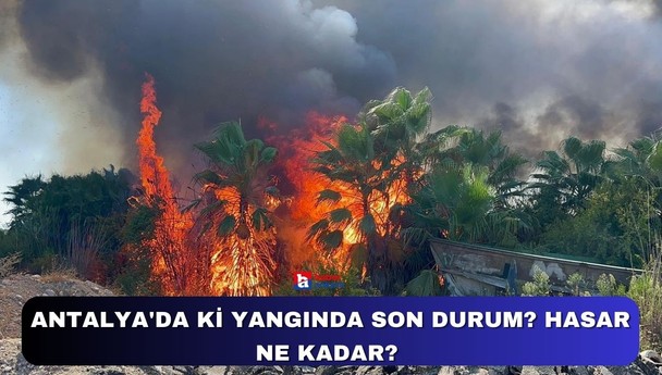 Antalya'da ki yangında son durum? Hasar ne kadar?