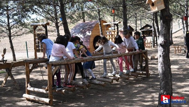 Pursaklar Belediyesi Endemik Vadi Orman Köy'ü yapımında sona geldi