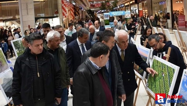 Ankara Nallıhan 7. Foto Safari Yarışması'nda ödül töreni düzenlendi!