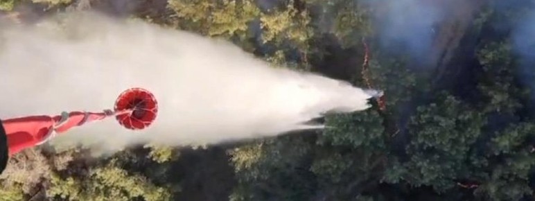 Orman yangınlarında son durum: Ciğerlerimiz cayır cayır yanıyor - Resim : 2